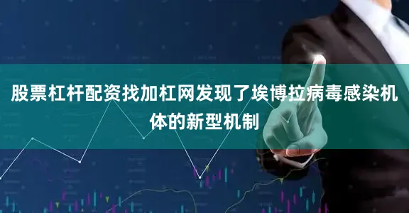 股票杠杆配资找加杠网发现了埃博拉病毒感染机体的新型机制