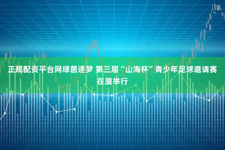 正规配资平台网绿茵逐梦 第三届“山海杯”青少年足球邀请赛在厦举行